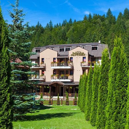 Pension Pantheon Poiana Brasov Ngoại thất bức ảnh