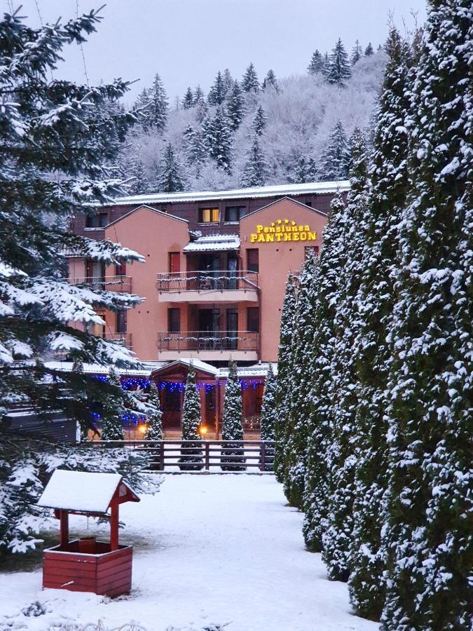 Pension Pantheon Poiana Brasov Ngoại thất bức ảnh