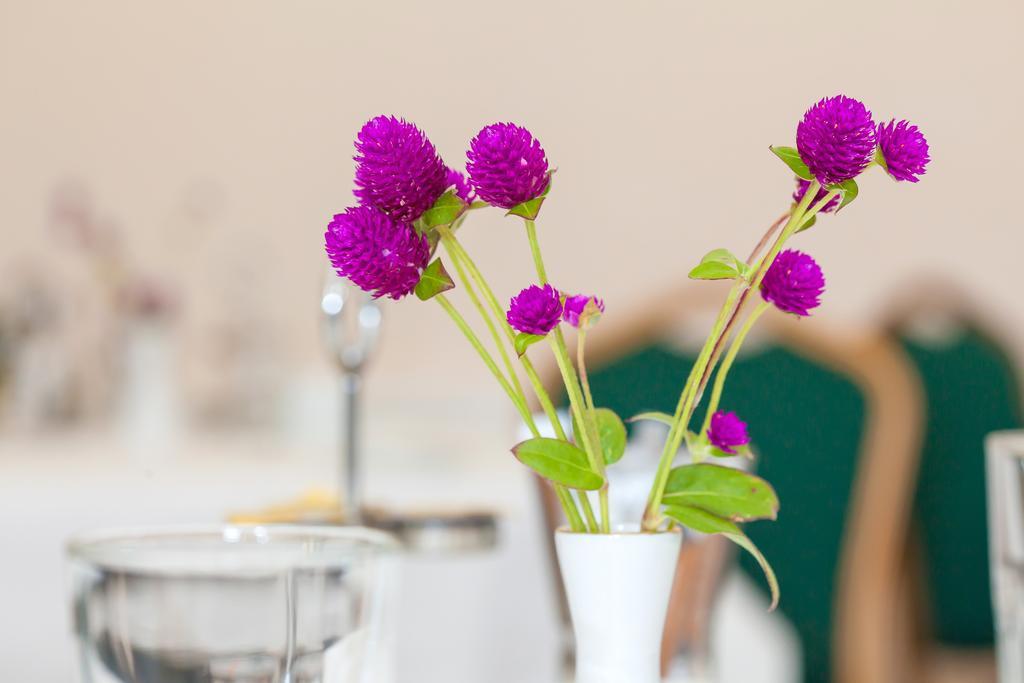 Pension Pantheon Poiana Brasov Ngoại thất bức ảnh